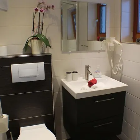 Apartmán Bergheim