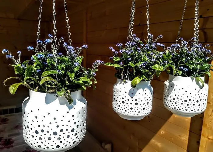 Bergheim شقة امهاوسن